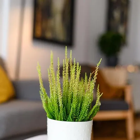 Northapartments 4* Bucharest